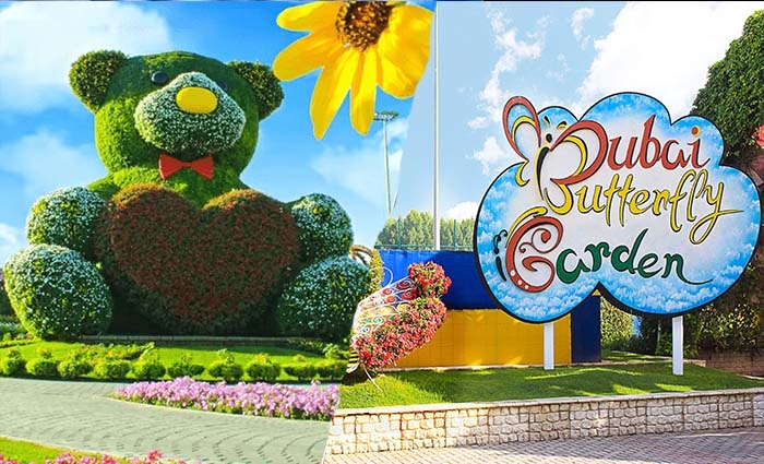 بلیط باغ پروانه‌های دبی |Dubai Butterfly Garden